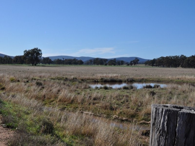 15 Noble Street, Eugowra NSW 2806