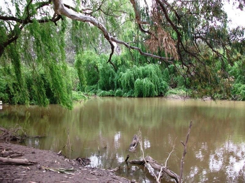 Lot 16 North Forbes Road, Condobolin NSW 2877