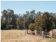 Lot 16 North Forbes Road, Condobolin NSW 2877