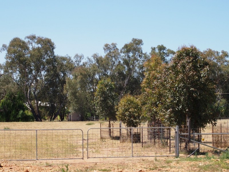Lot 16 North Forbes Road, Condobolin NSW 2877