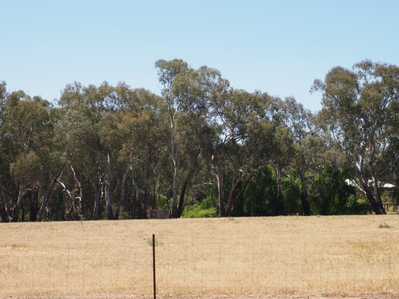 Lot 16 North Forbes Road, Condobolin NSW 2877