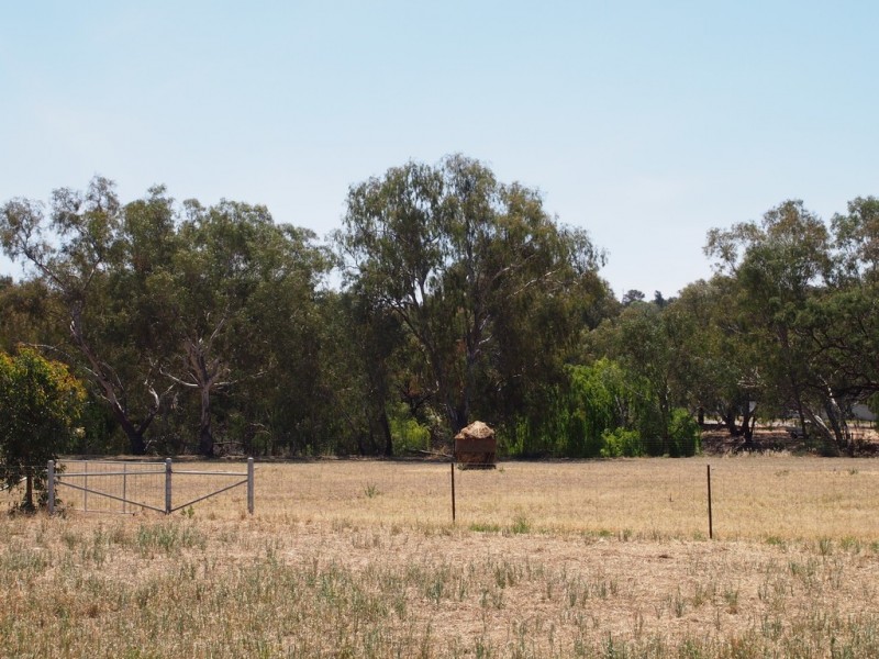 Lot 16 North Forbes Road, Condobolin NSW 2877