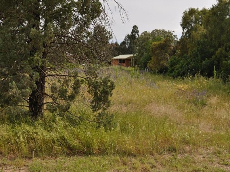8 Marara Street, Eugowra NSW 2806