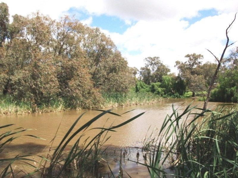 110 Parkes Road, Condobolin NSW 2877