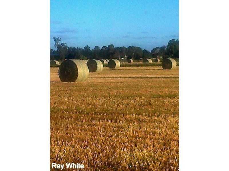 Lot 763 Orange Road, Forbes NSW 2871