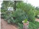 27 Pye Street, Eugowra NSW 2806