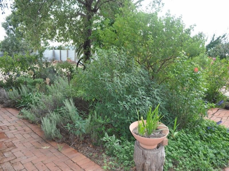27 Pye Street, Eugowra NSW 2806