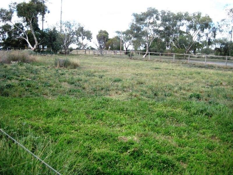 108 Parkes Road, Condobolin NSW 2877