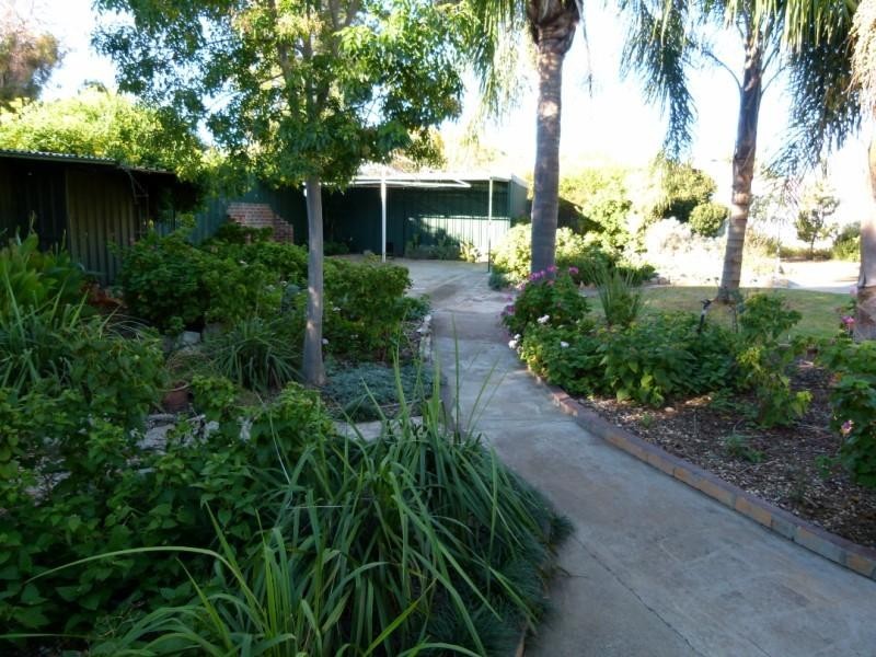 38 Wambat Street, Forbes NSW 2871