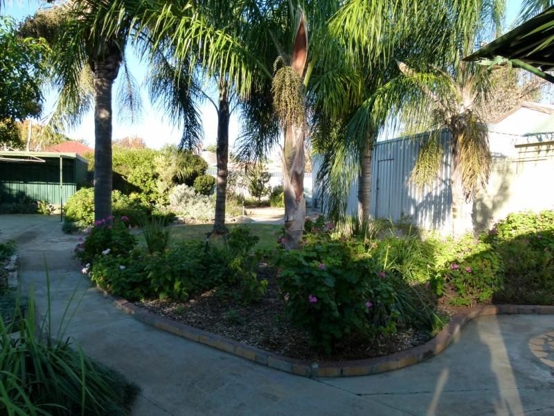 38 Wambat Street, Forbes NSW 2871