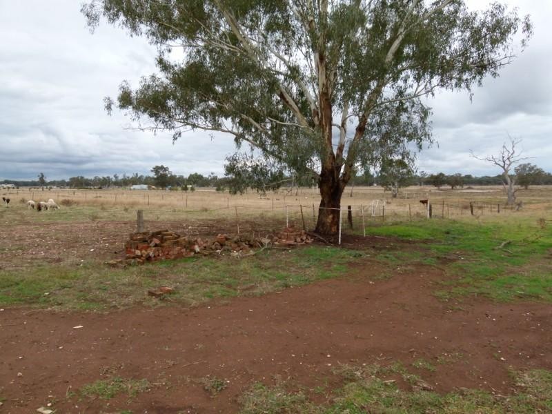 7 Hereford Street, Forbes NSW 2871