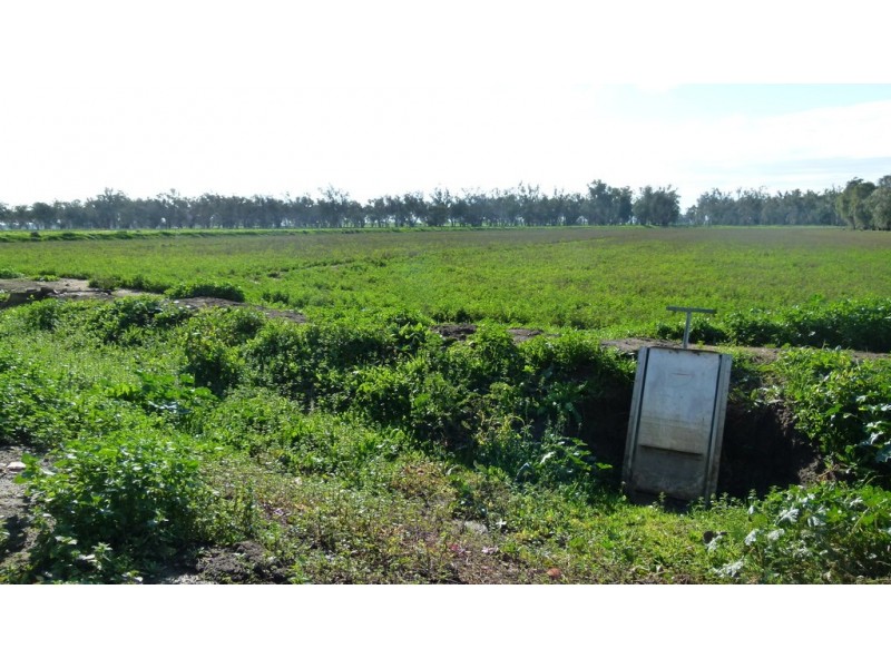 10585 The Escort Way, Forbes NSW 2871