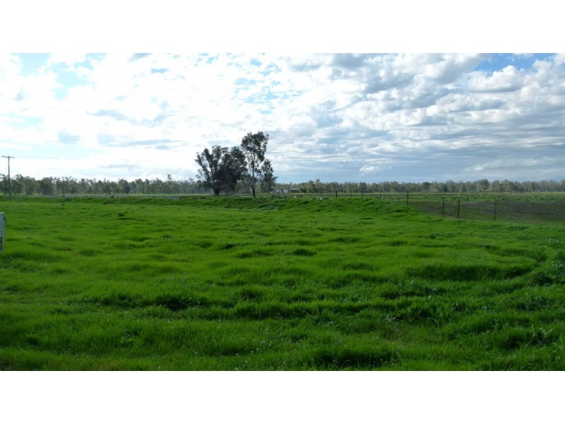 10585 The Escort Way, Forbes NSW 2871