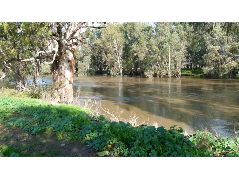 10585 The Escort Way, Forbes NSW 2871