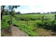 10585 The Escort Way, Forbes NSW 2871