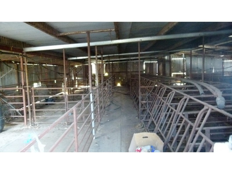 10585 The Escort Way, Forbes NSW 2871