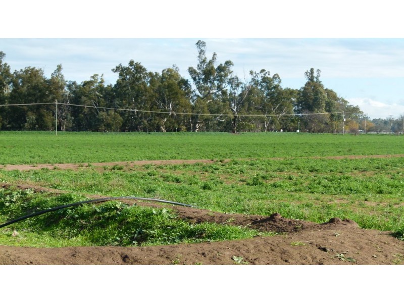 10585 The Escort Way, Forbes NSW 2871