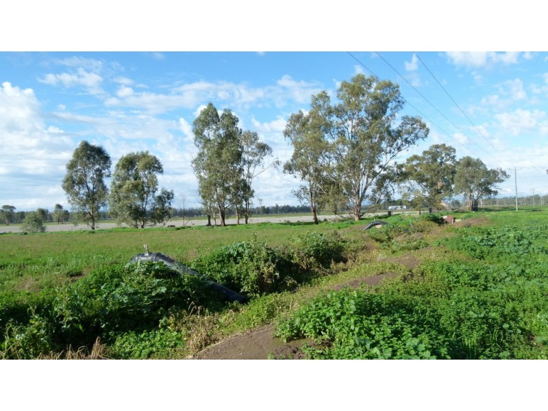 10585 The Escort Way, Forbes NSW 2871