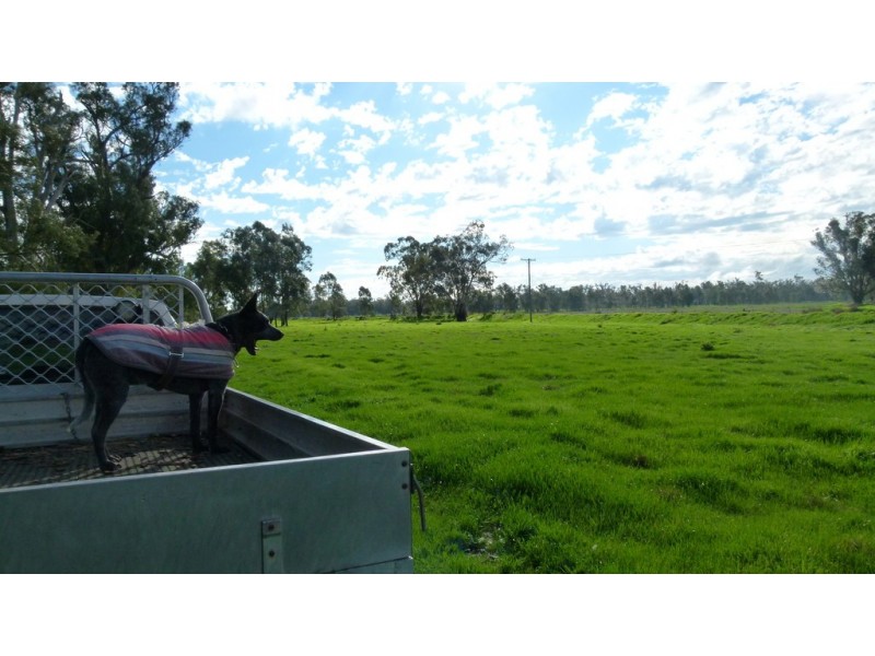 10585 The Escort Way, Forbes NSW 2871