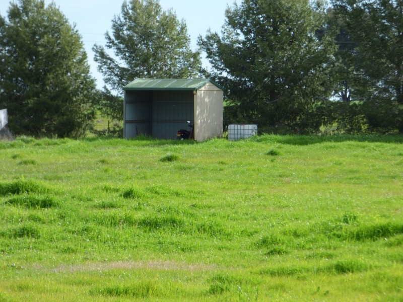 331A Calarie Road, Forbes NSW 2871