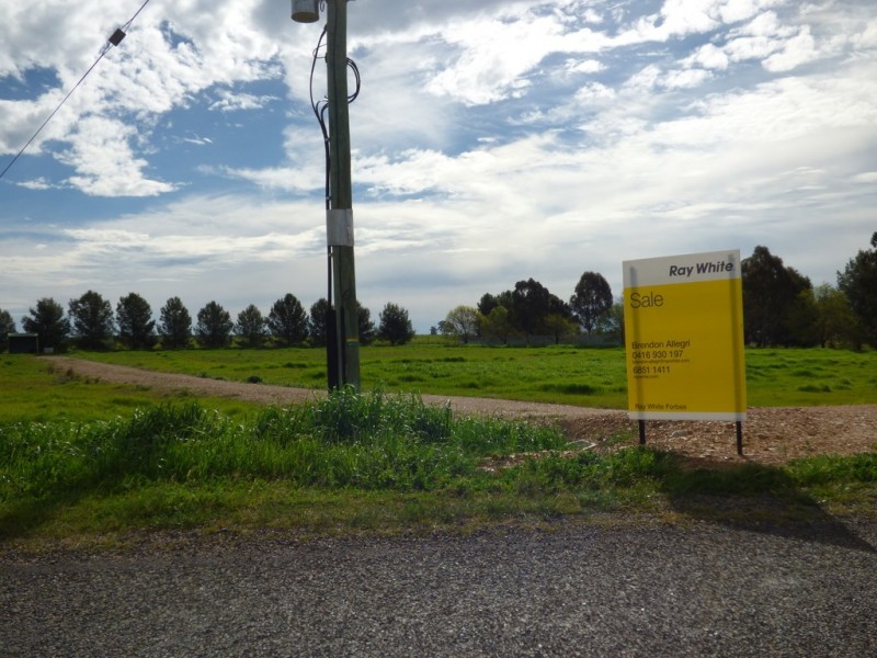 331A Calarie Road, Forbes NSW 2871