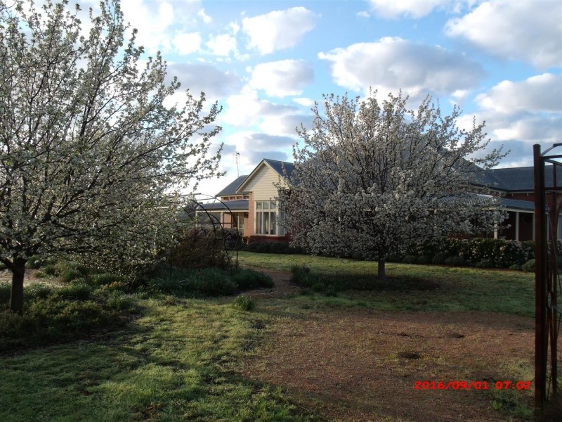 135 Nash Street, Parkes NSW 2870