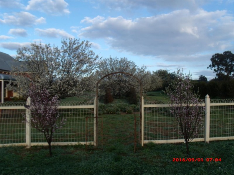 135 Nash Street, Parkes NSW 2870