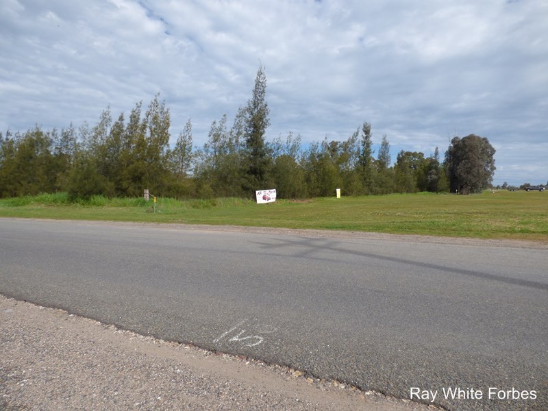25 Parkes Road, Forbes NSW 2871