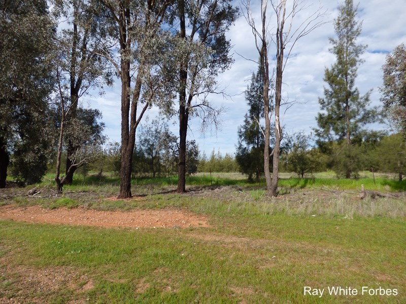 25 Parkes Road, Forbes NSW 2871
