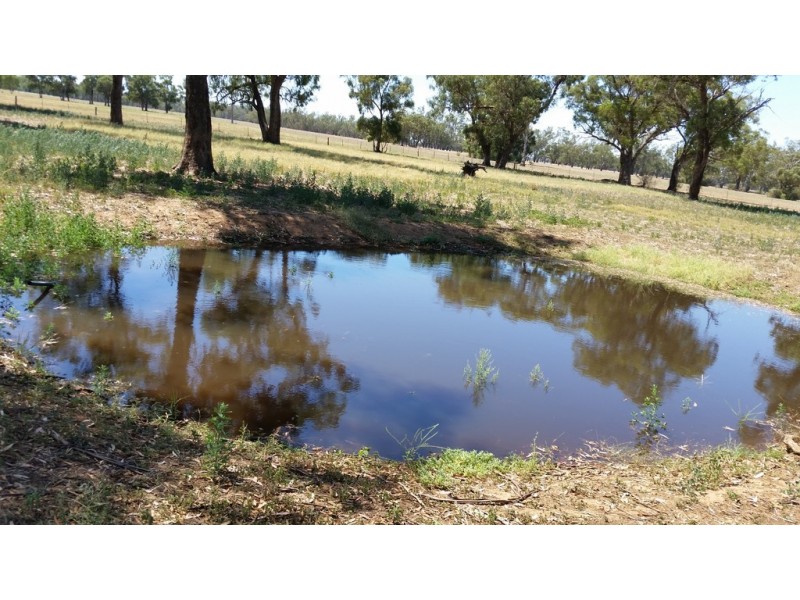 2816 Warroo Road, Warroo NSW 2871