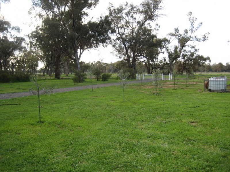 2816 Warroo Road, Warroo NSW 2871