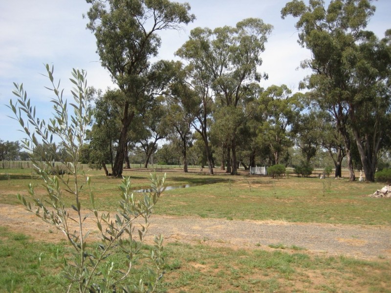 2816 Warroo Road, Warroo NSW 2871