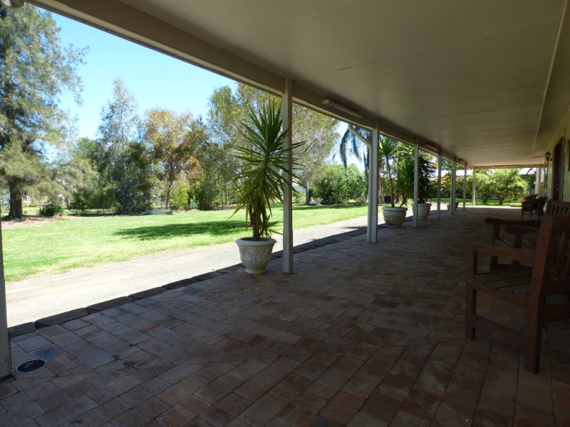 59 York Street, Forbes NSW 2871