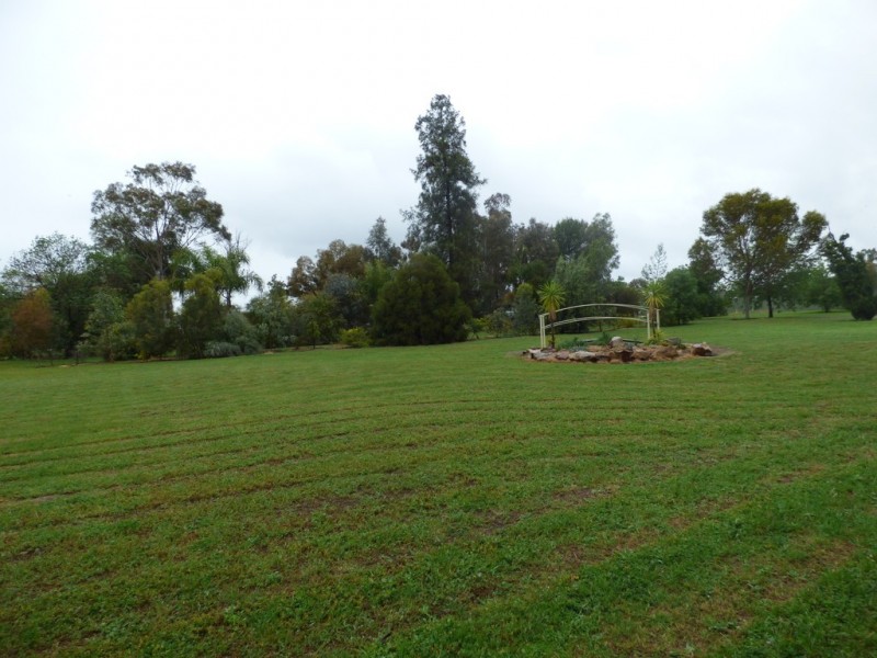 59 York Street, Forbes NSW 2871