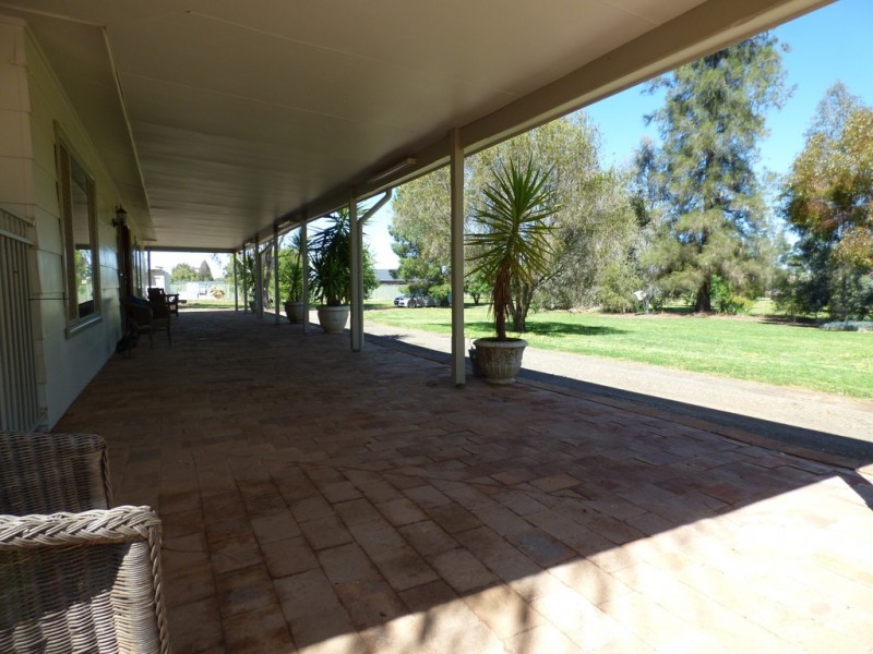 59 York Street, Forbes NSW 2871