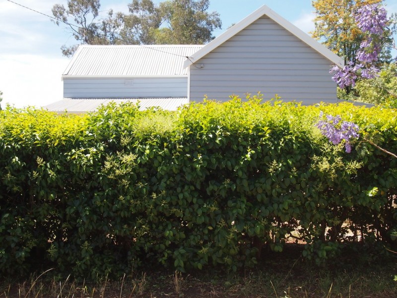 41 Mahonga Street, Condobolin NSW 2877