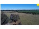296 South Lead Road, Forbes NSW 2871