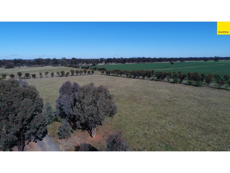 296 South Lead Road, Forbes NSW 2871
