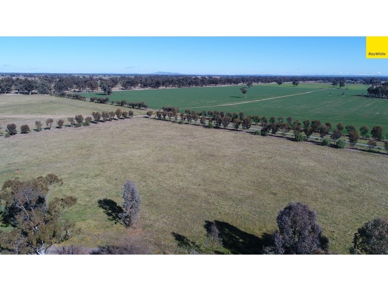 296 South Lead Road, Forbes NSW 2871