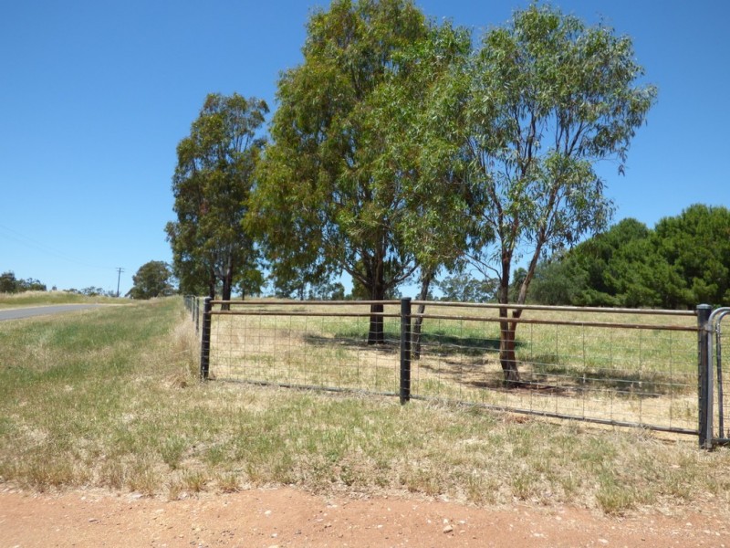 296 South Lead Road, Forbes NSW 2871