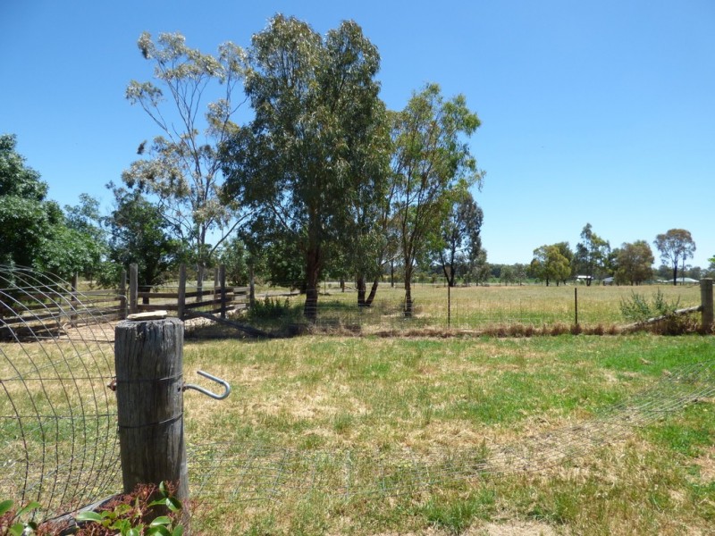 296 South Lead Road, Forbes NSW 2871