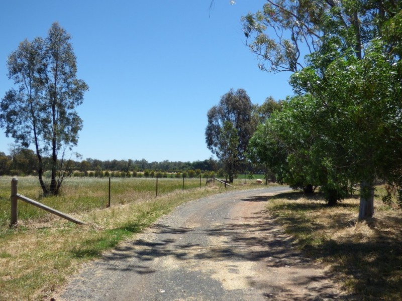 296 South Lead Road, Forbes NSW 2871