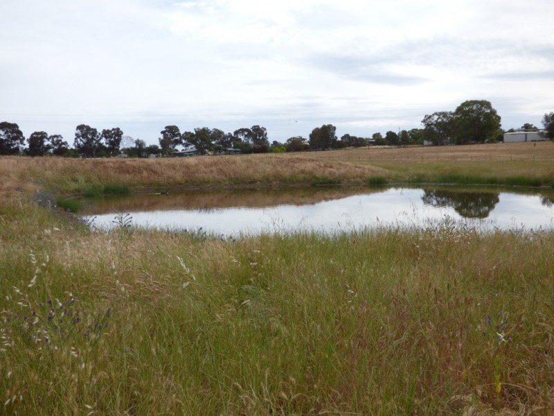 16 Brahman Street, Forbes NSW 2871