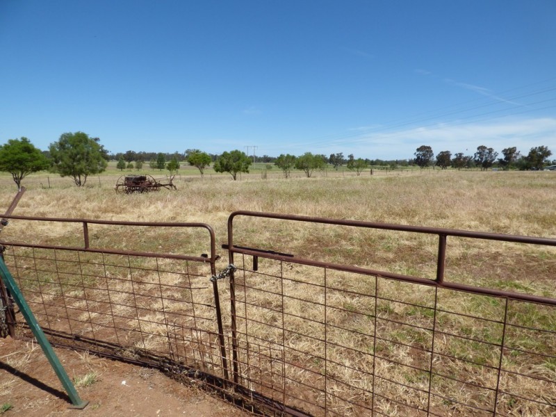 16 Brahman Street, Forbes NSW 2871