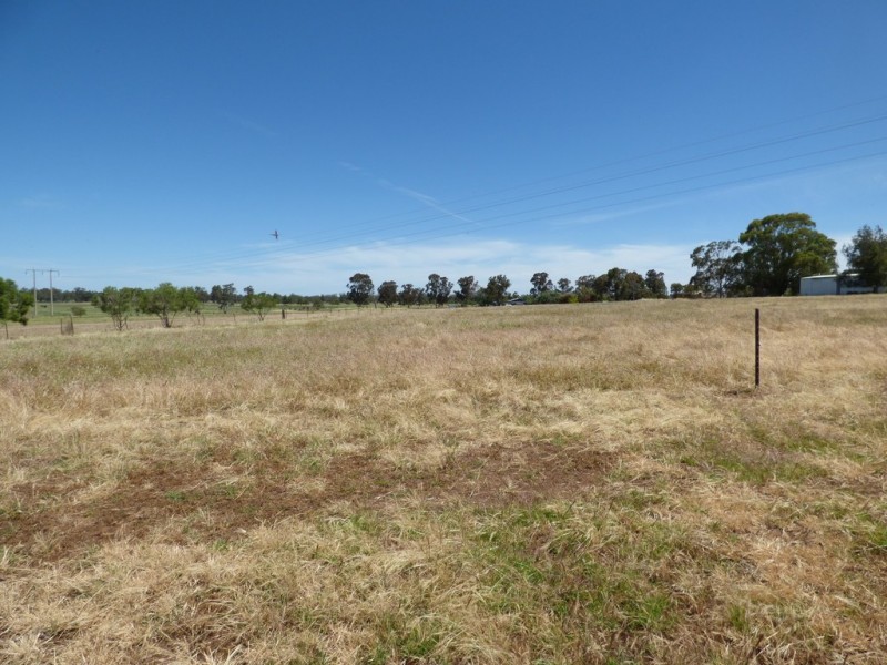 16 Brahman Street, Forbes NSW 2871