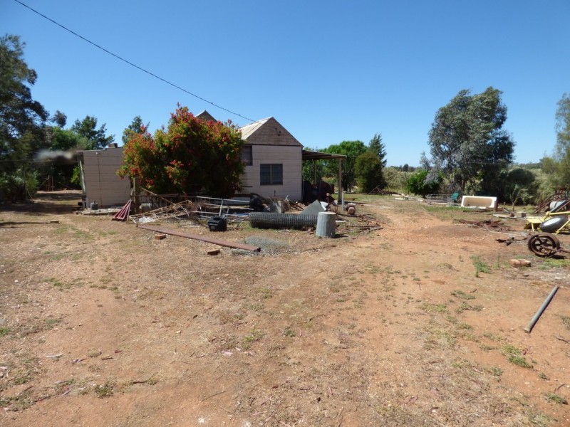 16 Brahman Street, Forbes NSW 2871