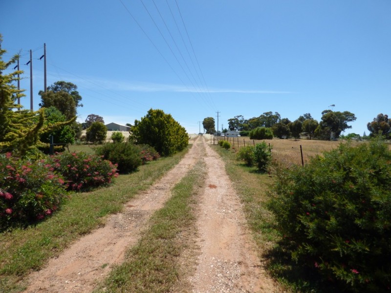 16 Brahman Street, Forbes NSW 2871