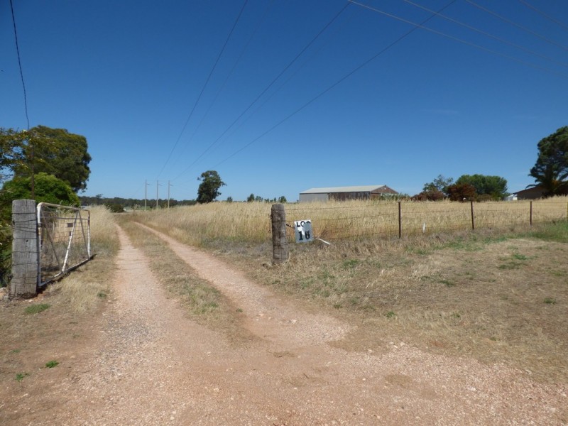 16 Brahman Street, Forbes NSW 2871