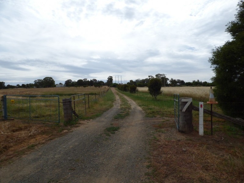 16 Brahman Street, Forbes NSW 2871