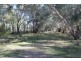 10 Rogers Street, Condobolin NSW 2877